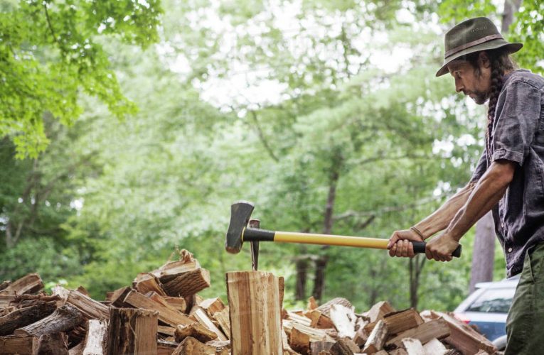A Brief Guide on Different Types OF Firewood