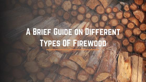 A Brief Guide on Different Types OF Firewood