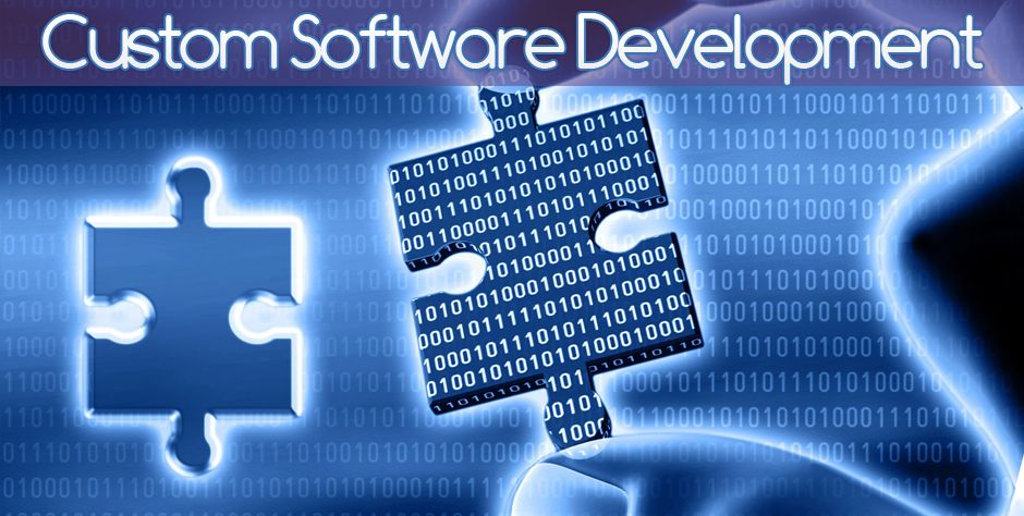 Custom software development firm