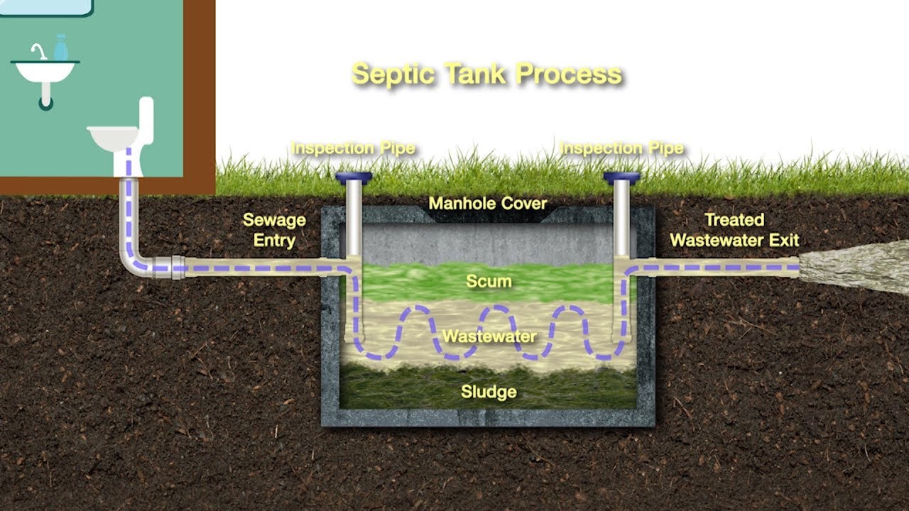 How often should you empty your septic tank?