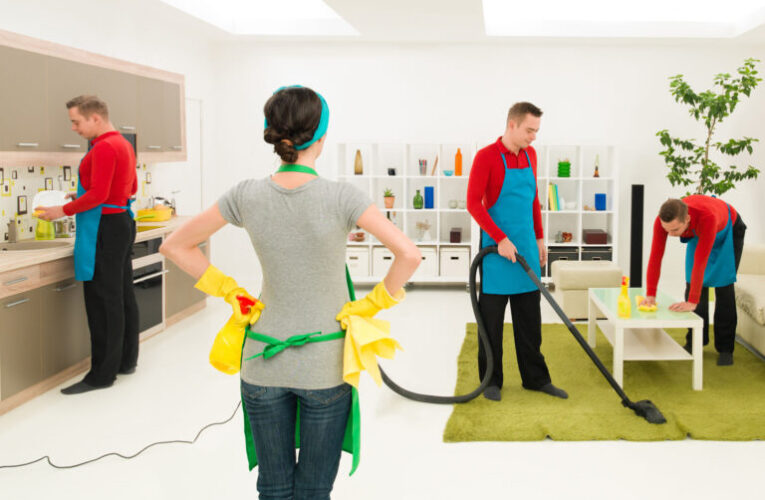 Why You Need To Hire A Professional Carpet Cleaning Company