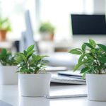 Indoor Air Quality