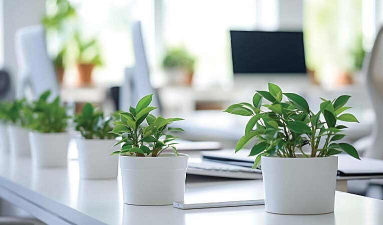 Indoor Air Quality